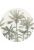 fotomurale autoadhesivo tondo palme beige chiaro e verde grigiastro di ESTAhome