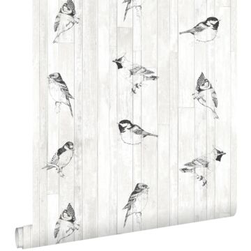 carta da parati disegno a penna retrò vintage di uccelli su tavole di legno recuperato nero e bianco opaco di ESTAhome