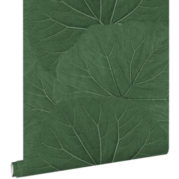 carta da parati foglie grandi verde scuro di ESTAhome