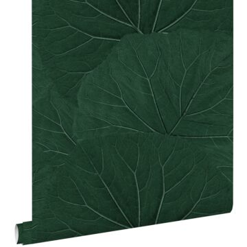 carta da parati foglie grandi verde smeraldo da ESTA home