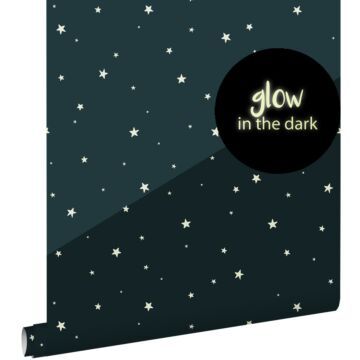 carta da parati glow-in-the-dark stelle luminescenti blu scuro di ESTAhome