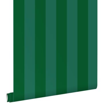 carta da parati strisce verde scuro di ESTAhome