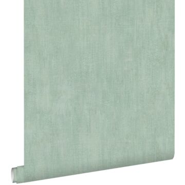 carta da parati liscia con effetto pittorica verde celadon da ESTA home