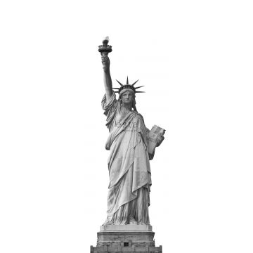 fotomurale statua della libertà grigio da ESTA home
