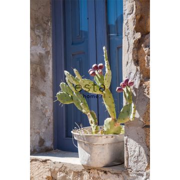 fotomurale cactus   blu, verde e beige di ESTAhome