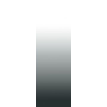 fotomurale gradiente di colore dip dye da pavimento a soffitto bianco e nero di ESTAhome
