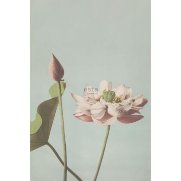 fotomurale fiore di loto rosa veccho di ESTAhome