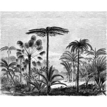 fotomurale paesaggio con palme bianco e nero da ESTA home
