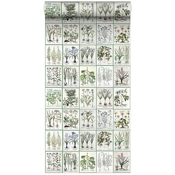 carta da parati XXL in TNT pagine di un libro botanico con fiori e piante verde di ESTAhome