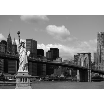 fotomurale New York grigio da Sanders & Sanders
