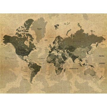 fotomurale mappa del mondo beige e marrone da Sanders & Sanders
