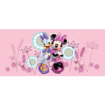 poster Minni & Paperina rosa di Disney
