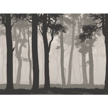 fotomurale paesaggio boscoso grigio e nero da Sanders & Sanders