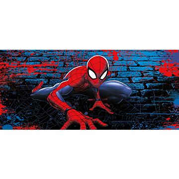 poster Spider-Man rosso e blu di Sanders & Sanders
