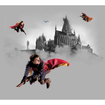 fotomurale Harry Potter Hogwarts grigio e rosso di Sanders & Sanders