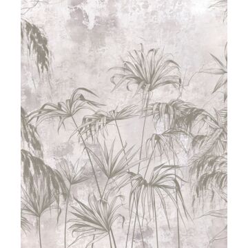 fotomurale piante tropicali grigio di Sanders & Sanders