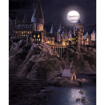 fotomurale Harry Potter Hogwarts grigio scuro e blu scuro di Sanders & Sanders