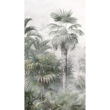 fotomurale paesaggio con palme verde scuro e grigio di Sanders & Sanders