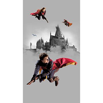 fotomurale Harry Potter Hogwarts grigio e rosso di Sanders & Sanders