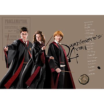poster Harry Potter, Hermione Granger, Ron Weasley beige, nero e rosso di Sanders & Sanders