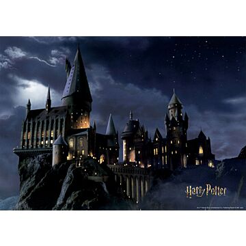 poster Harry Potter Hogwarts nero e blu scuro di Sanders & Sanders