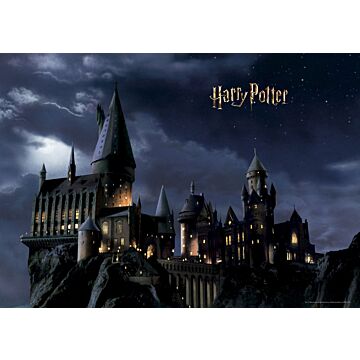 fotomurale Harry Potter Hogwarts nero e blu scuro di Sanders & Sanders