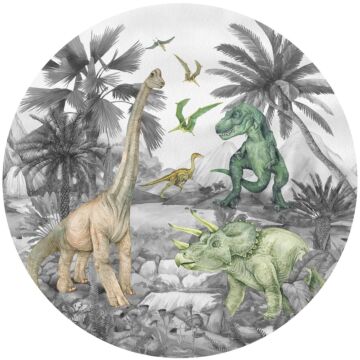 fotomurale autoadhesivo tondo dinosauri grigio di Sanders & Sanders
