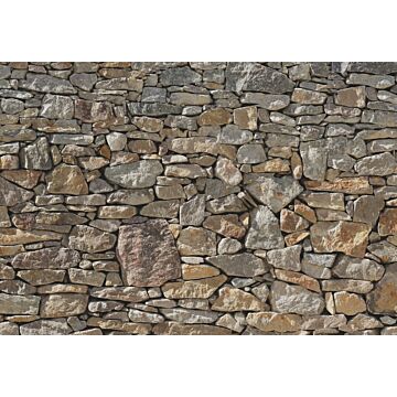 fotomurale Stone Wall grigio e beige di Komar