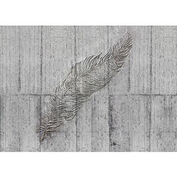 fotomurale Concrete Feather grigio di Komar