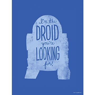 poster Star Wars blu di Sanders & Sanders