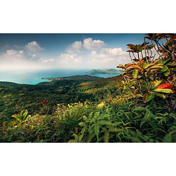 fotomurale paesaggio tropicale verde e blu di Sanders & Sanders