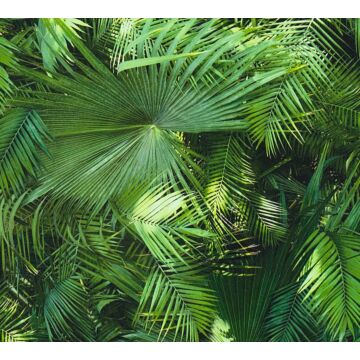 carta da parati foglie tropicali verde di A.S. Création
