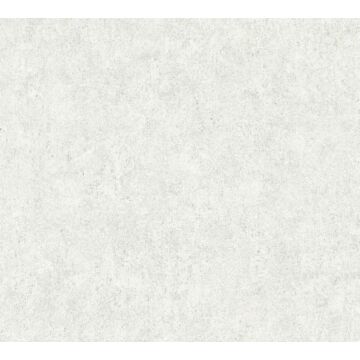 carta da parati calcestruzzo grigio chiaro di A.S. Création